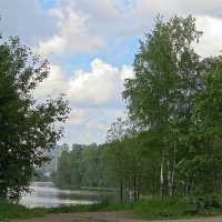 На берегу озера :: Вера Щукина