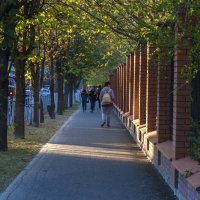 Аллея у парка :: Валентин Семчишин