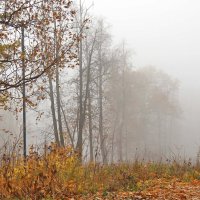Осенний туман :: Nina Karyuk