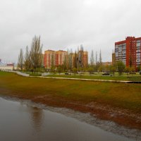 Дождь. :: Игорь Чуев