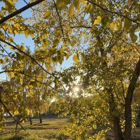 Осень в парке :: Savayr 