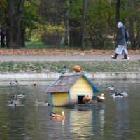 Дубки (парк, Москва) :: Галина 