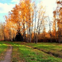 В Баболовском парке осенью - 3 :: Сергей 