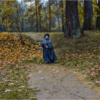 Дама, гуляющая по парку... :: Александр Максимов