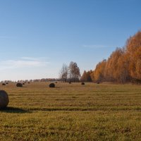 скошенное поле :: Владимир Зеленцов