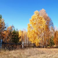 Осенний пейзаж :: lyudmila Курлова