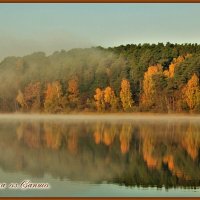 Красота :: Ольга Митрофанова