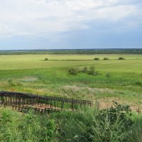 Пойма реки Ваги. Вельск, Архангельская область :: ИРЭН@ .