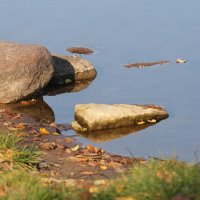 у берега :: Михаил Жуковский