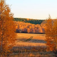 Осень,золотая осень!!! :: Татьяна Перегудова 