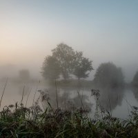 Туманным утром на пруду :: Николай Гирш