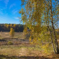 Московская осень... :: Владимир Жданов