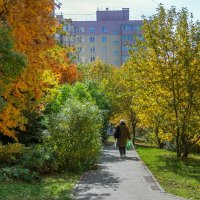 Осень :: gribushko грибушко Николай