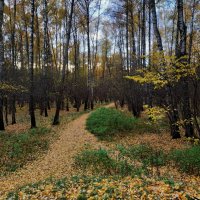 Экватор осени :: Андрей Лукьянов