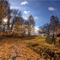 "В золоте, опавшей с деревьев, листвы© :: Владимир Макаров