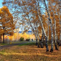 В осеннем парке. :: Анатолий Анищик