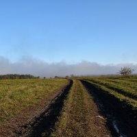 Дорога в туман. Гора Стрижамент. :: Александр 