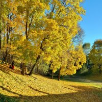 ЦАРИЦЫНО :: АЛЕКСАНДР 