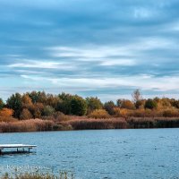 Шумилинское озеро. 11.10.2021 (Снято на SONY Cyber-Shot DSC-R1) :: Анатолий Клепешнёв