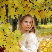 Наслаждаясь осенней прохладой, по октябрьскому лесу иду, надышаться, чего еще надо? :: Саша Бабаев