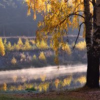 Берёзы жёлтою резьбою Блестят в лазури голубой (Иван Бунин))) :: Геннадий Ковалев ,