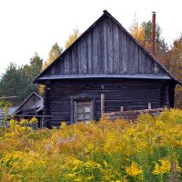 Желтые цветочки - черный домик.... :: M Marikfoto