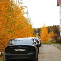 Золотая осень в городе :: Светлана 