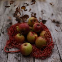 С яблоками... :: Liliya 