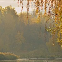 Осень в Клину. Раннее утро... :: Дмитрий 