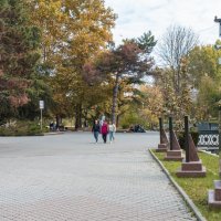 Осень в  парке :: Валентин Семчишин