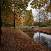 Осень в парке... :: Сергей Кичигин