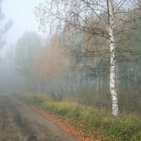 По дороге в осенний туман :: Николай Белавин