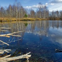 Осень на лесном озере :: Юрий Митенёв