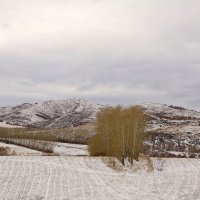 Первый снег в горах. :: Марина Мерц