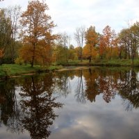 Царское Село. Александровский парк :: Наталья Герасимова