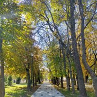Осенний парк :: Yulia Raspopova