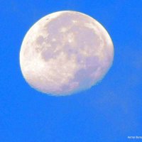 Убывающая луна в утреннем небе. :: Валерьян Запорожченко