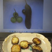 Блюдо из Жана-Баклажана и яблочного сока :: Alex Aro Aro Алексей Арошенко