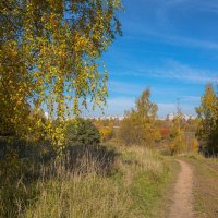 Московская осень... :: Владимир Жданов