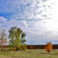 Из белой ваты облака. :: Восковых Анна Васильевна 