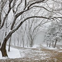 Перекресток семи дорог :: Татьяна Хромова