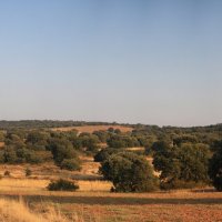 Spain, Camino Sanabres :: Анатолий Калмыков