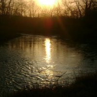 Немного солнца в холодной воде :: Оксана #