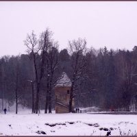 Зима в павловском парке :: vadim 