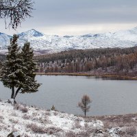 Осенний снег :: Валентина Кобзева