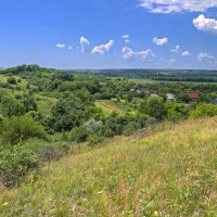 Зеленая даль :: Оксана Парубина