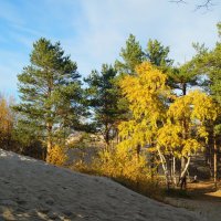 Осень в дюнах :: Елена Перевозникова