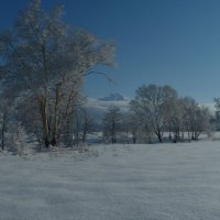 Весна на Камчатке. :: Александр 