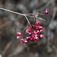 Осень :: Виктор Алеветдинов