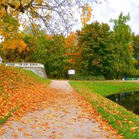 Осенний парковый пейзаж :: Анастасия Белякова